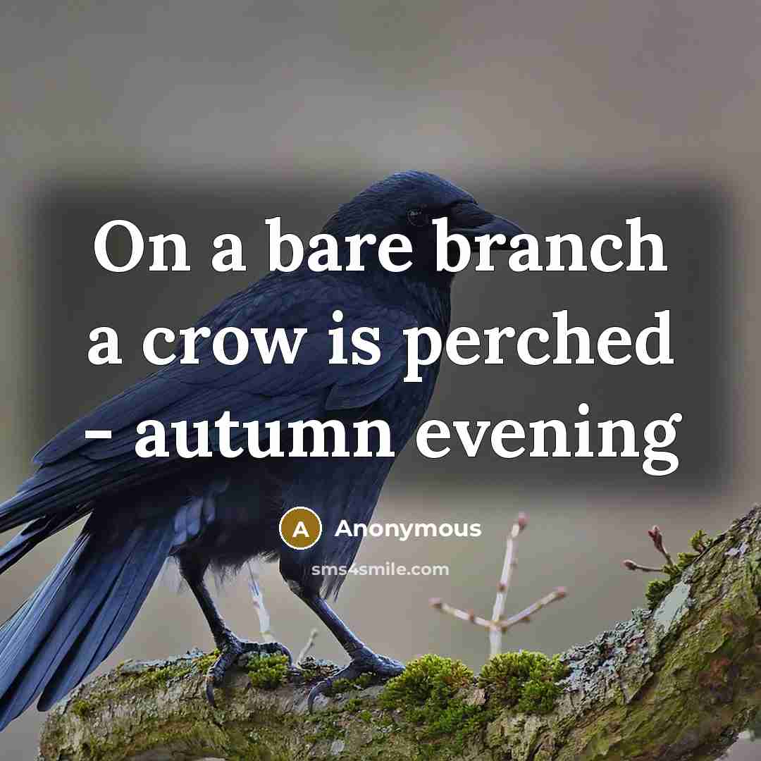 “On a bare branch a crow is perched - autumn evening” quote by Anonymous