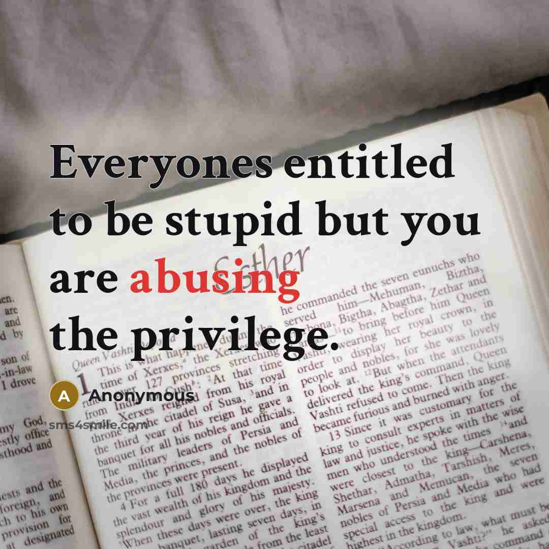 “Everyones entitled to be stupid but you are abusing the privilege.” quote by Anonymous