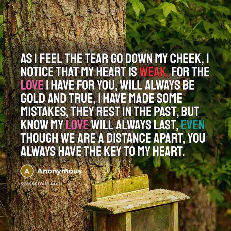 “As I feel the tear go down my cheek, I notice that my heart is weak, For the love I have for you, Will always be gold and true, I have made some mistakes, they rest in the past, But know my love will always last, Even though we are a distance apart, You always have the key to my heart.” quote by Anonymous