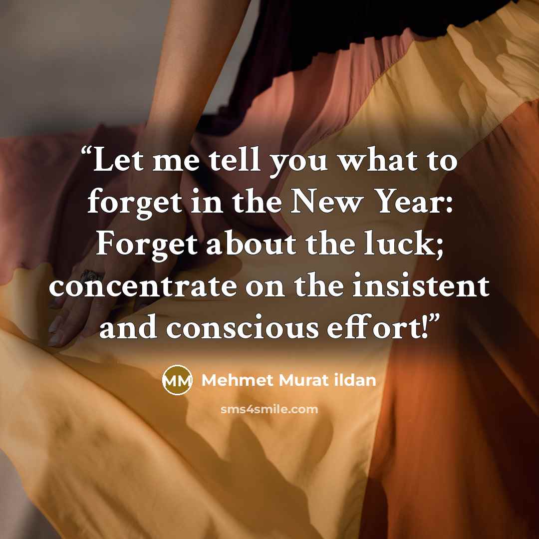 “Let me tell you what to forget in the New Year: Forget about the luck; concentrate on the insistent and conscious effort!” quote by Mehmet Murat ildan