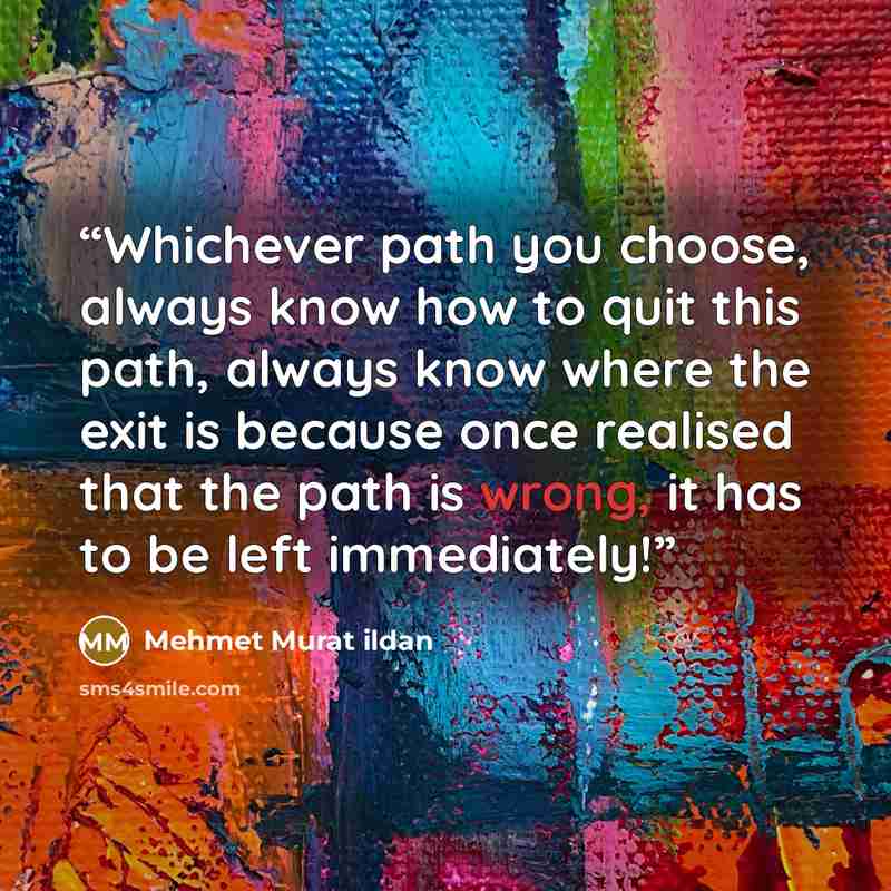 “Whichever path you choose, always know how to quit this path, always know where the exit is because once realised that the path is wrong, it has to be left immediately!” quote by Mehmet Murat ildan