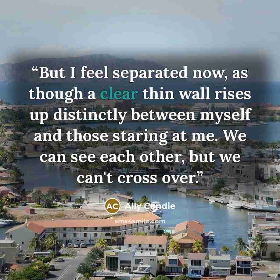 “But I feel separated now, as though a clear thin wall rises up distinctly between myself and those staring at me. We can see each other, but we can't cross over.” quote by Ally Condie