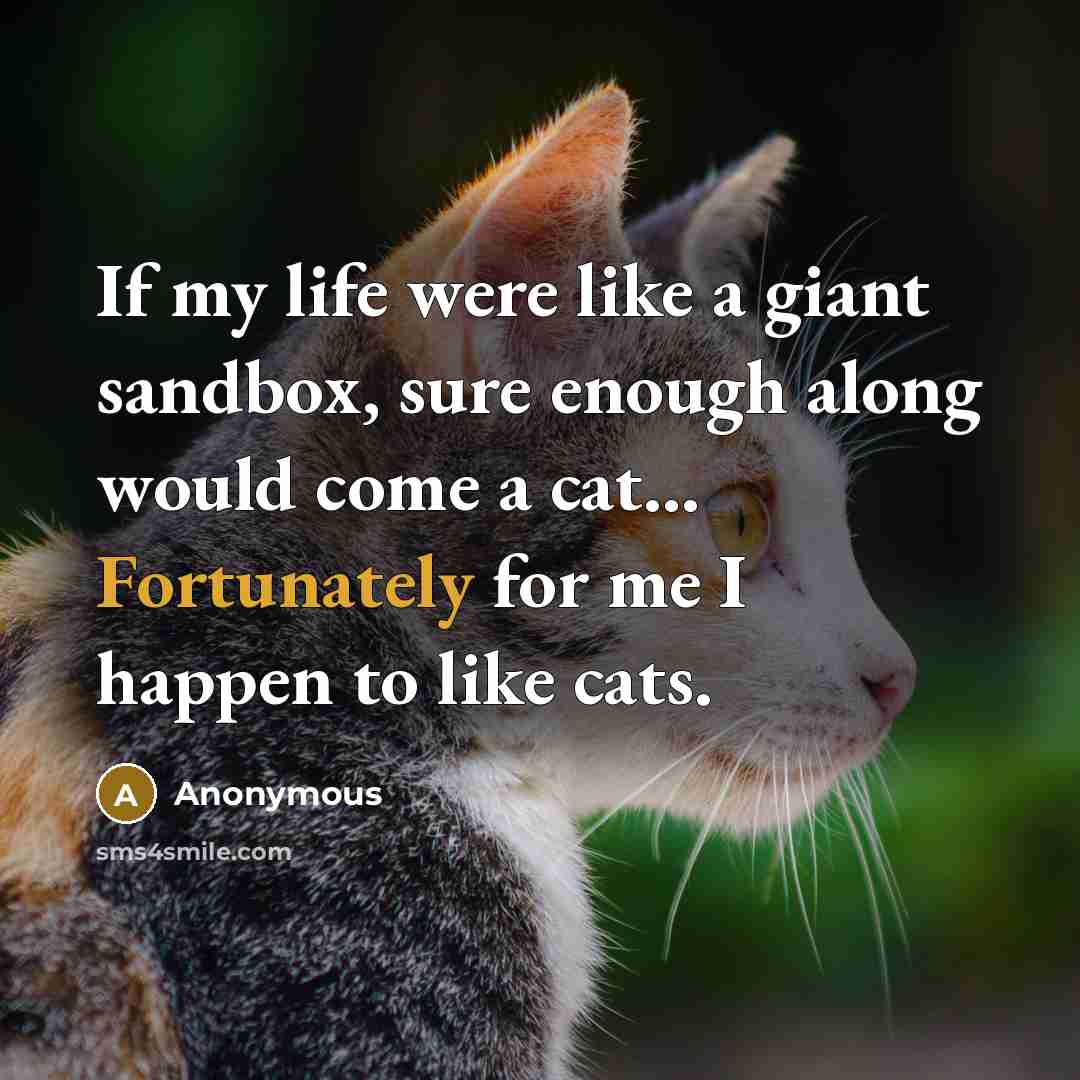 “If my life were like a giant sandbox, sure enough along would come a cat... Fortunately for me I happen to like cats.” quote by Anonymous