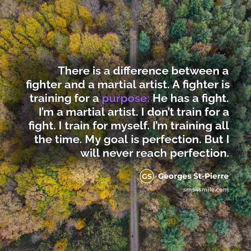 “There is a difference between a fighter and a martial artist. A fighter is training for a purpose: He has a fight. I’m a martial artist. I don’t train for a fight. I train for myself. I’m training all the time. My goal is perfection. But I will never reach perfection.” quote by Georges St-Pierre