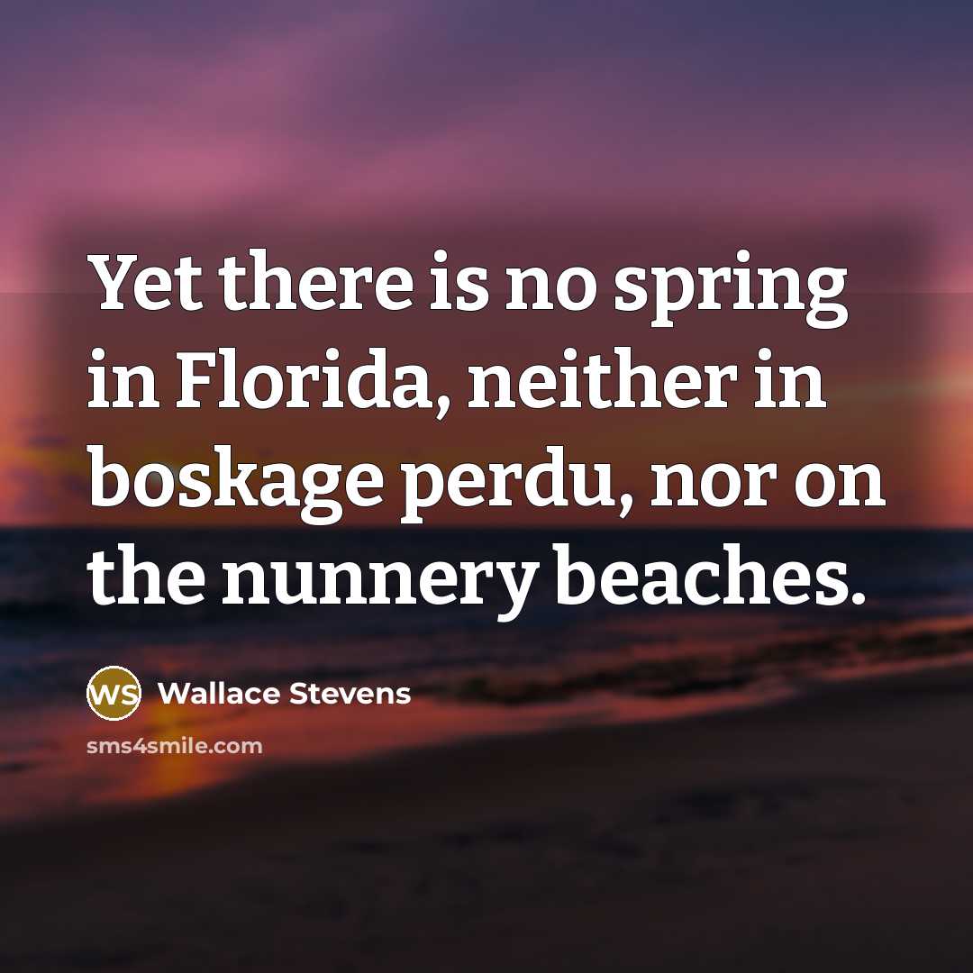 “Yet there is no spring in Florida, neither in boskage perdu, nor on the nunnery beaches.” quote by Wallace Stevens