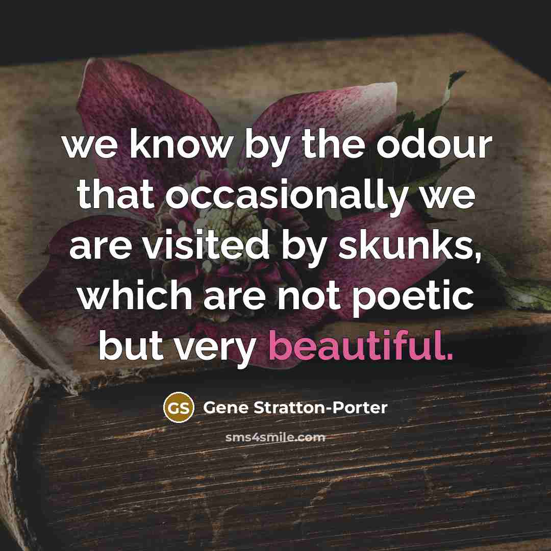 “we know by the odour that occasionally we are visited by skunks, which are not poetic but very beautiful.” quote by Gene Stratton-Porter