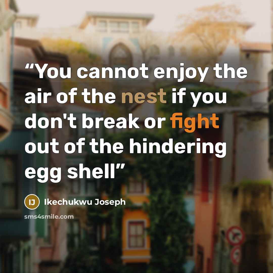 “You cannot enjoy the air of the nest if you don't break or fight out of the hindering egg shell” quote by Ikechukwu Joseph