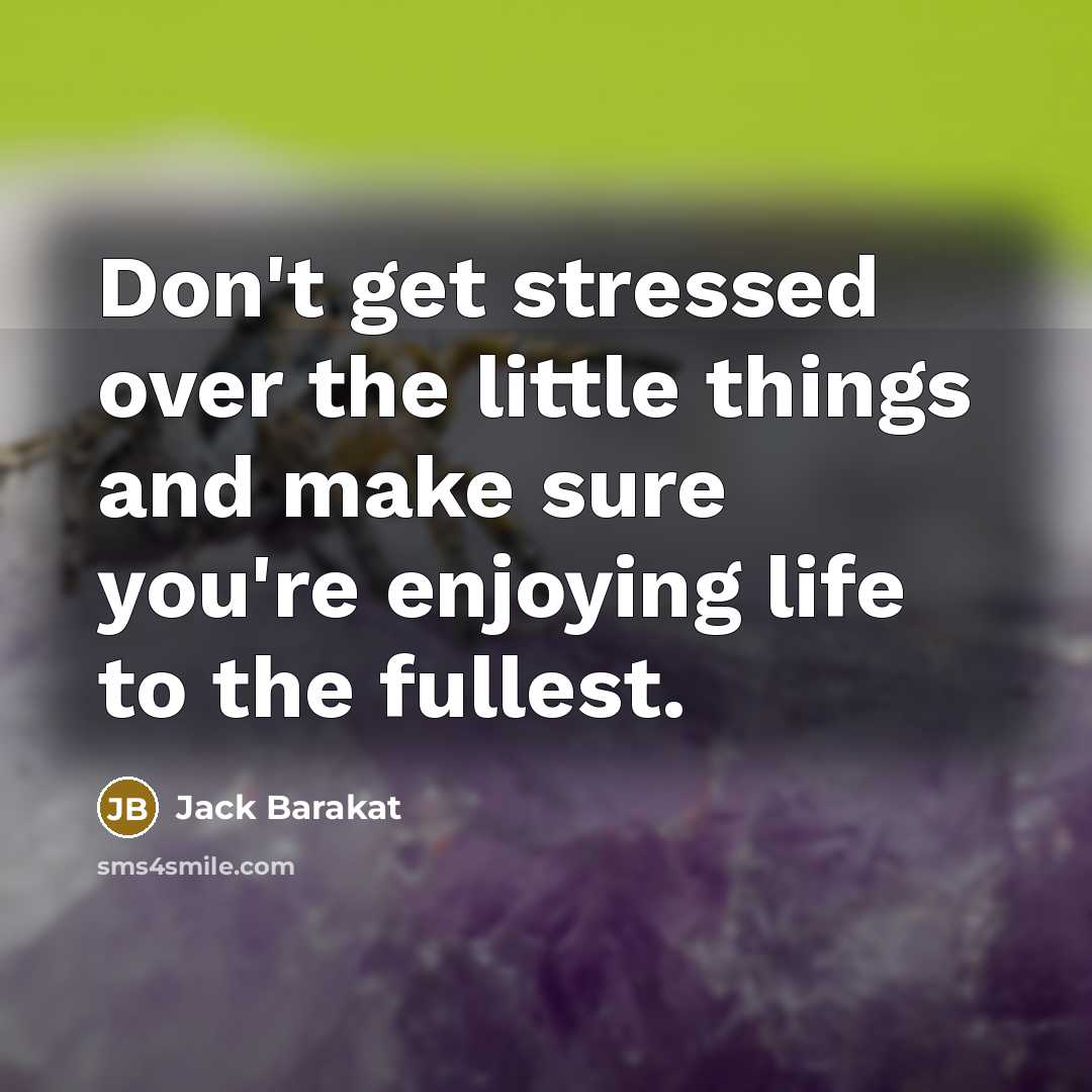 “Don't get stressed over the little things and make sure you're enjoying life to the fullest.” quote by Jack Barakat