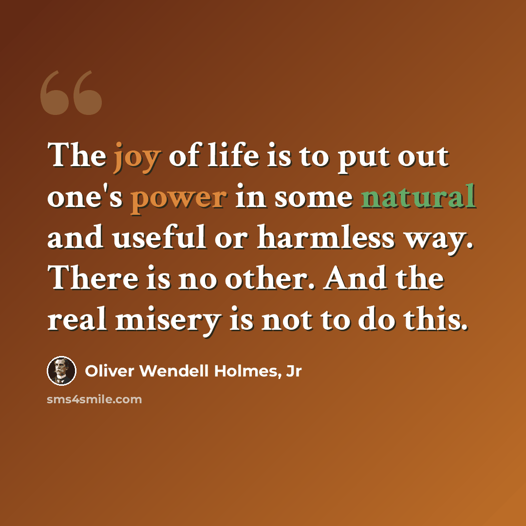 “The joy of life is to put out one's power in some natural and useful or harmless way. There is no other. And the real misery is not to do this.” quote by Oliver Wendell Holmes, Jr