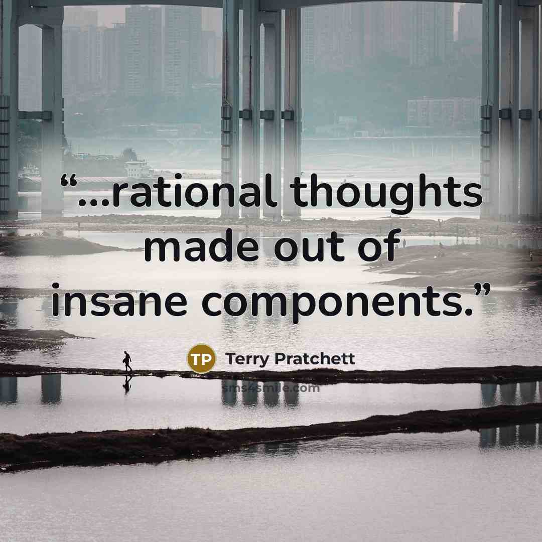 “...rational thoughts made out of insane components.” quote by Terry Pratchett