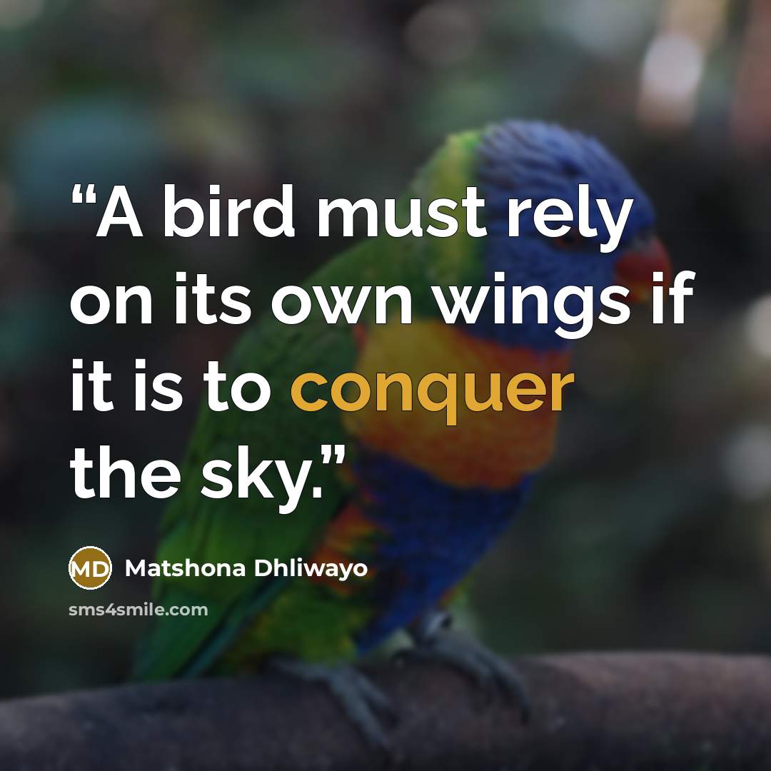 “A bird must rely on its own wings if it is to conquer the sky.” quote by Matshona Dhliwayo