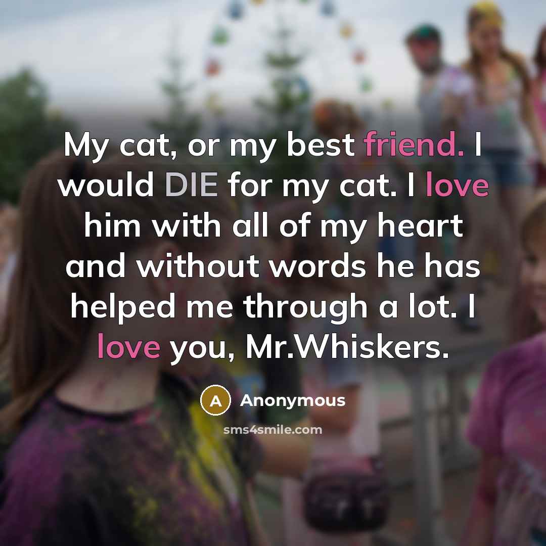 “My cat, or my best friend. I would DIE for my cat. I love him with all of my heart and without words he has helped me through a lot. I love you, Mr.Whiskers.” quote by Anonymous
