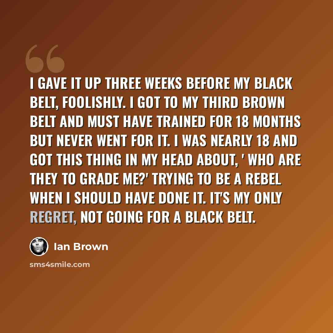 “I gave it up three weeks before my black belt, foolishly. I got to my third brown belt and must have trained for 18 months but never went for it. I was nearly 18 and got this thing in my head about, ' Who are they to grade me?' Trying to be a rebel when I should have done it. It's my only regret…” quote by Ian Brown