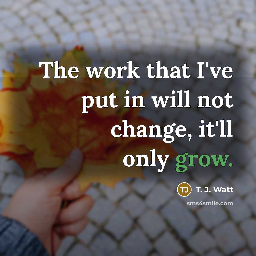 “The work that I've put in will not change, it'll only grow.” quote by T. J. Watt