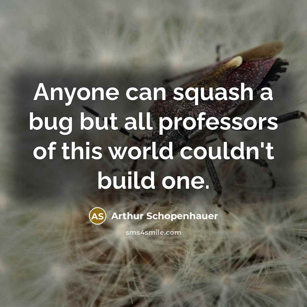 “Anyone can squash a bug but all professors of this world couldn't build one.” quote by Arthur Schopenhauer