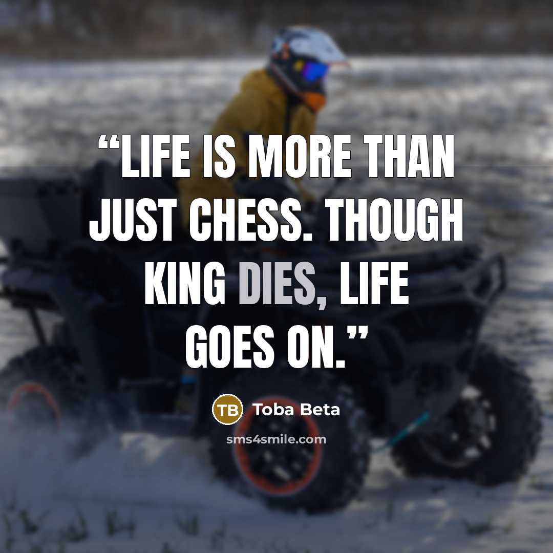 “Life is more than just chess. Though king dies, life goes on.” quote by Toba Beta