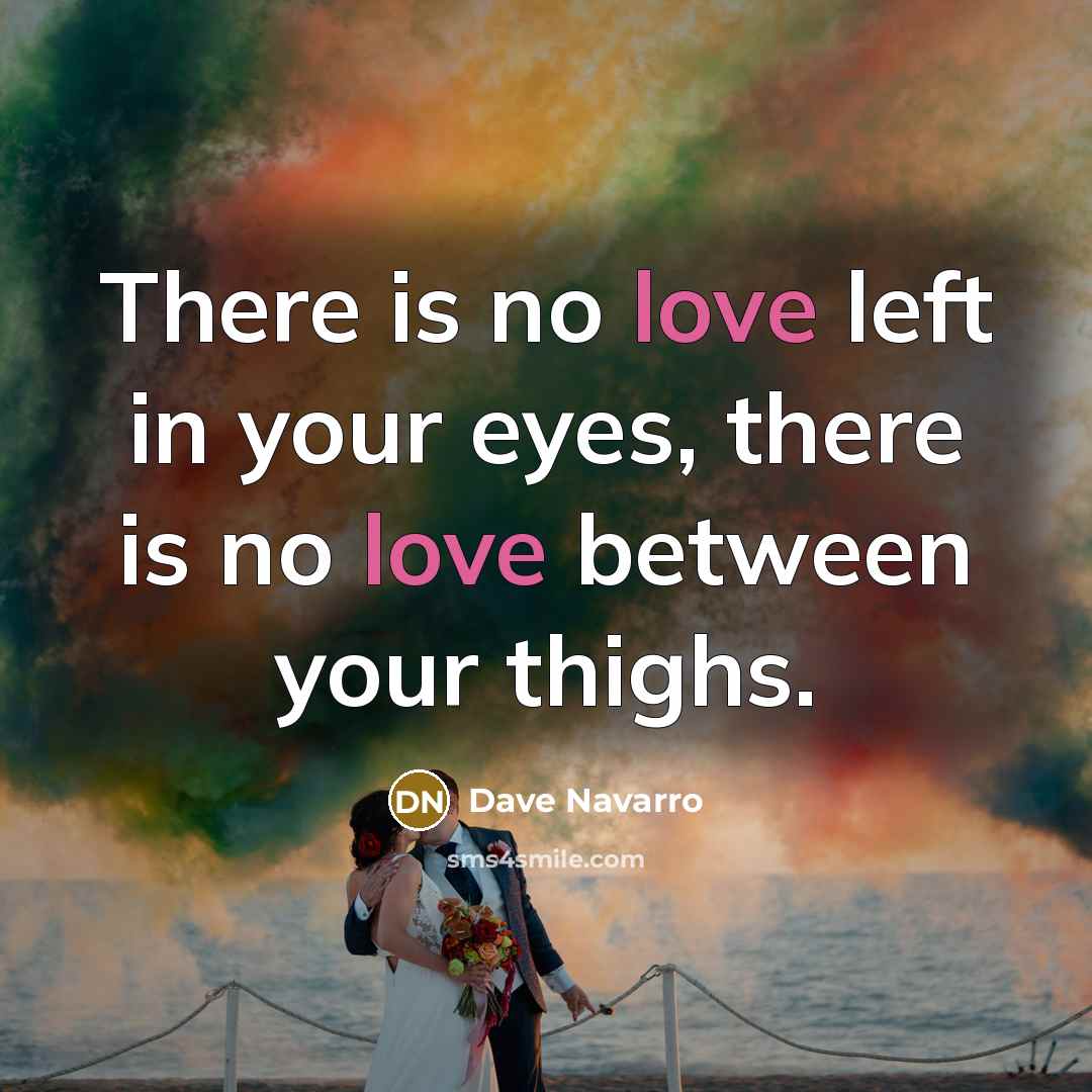 “There is no love left in your eyes, there is no love between your thighs.” quote by Dave Navarro