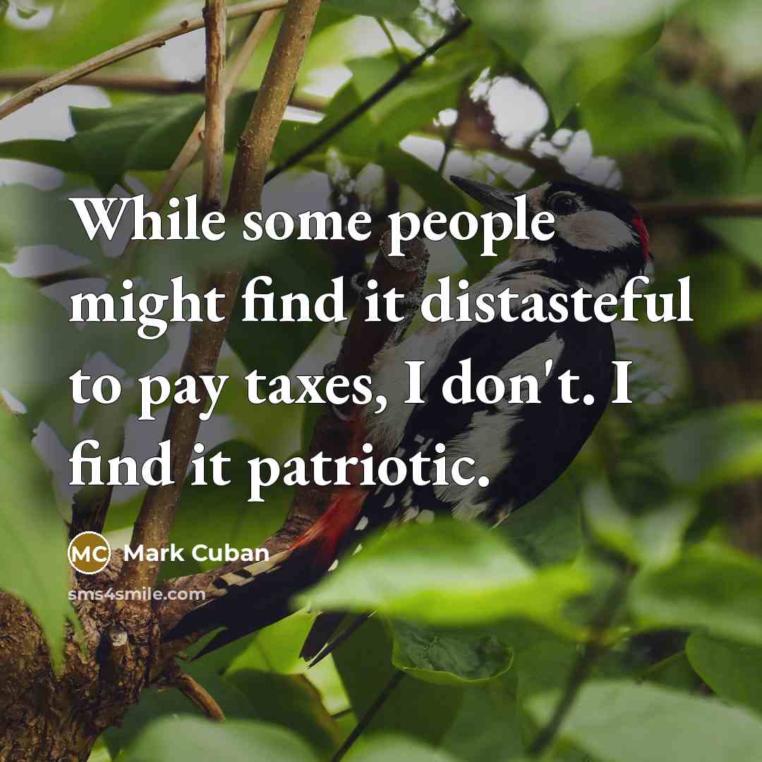 “While some people might find it distasteful to pay taxes, I don't. I find it patriotic.” quote by Mark Cuban