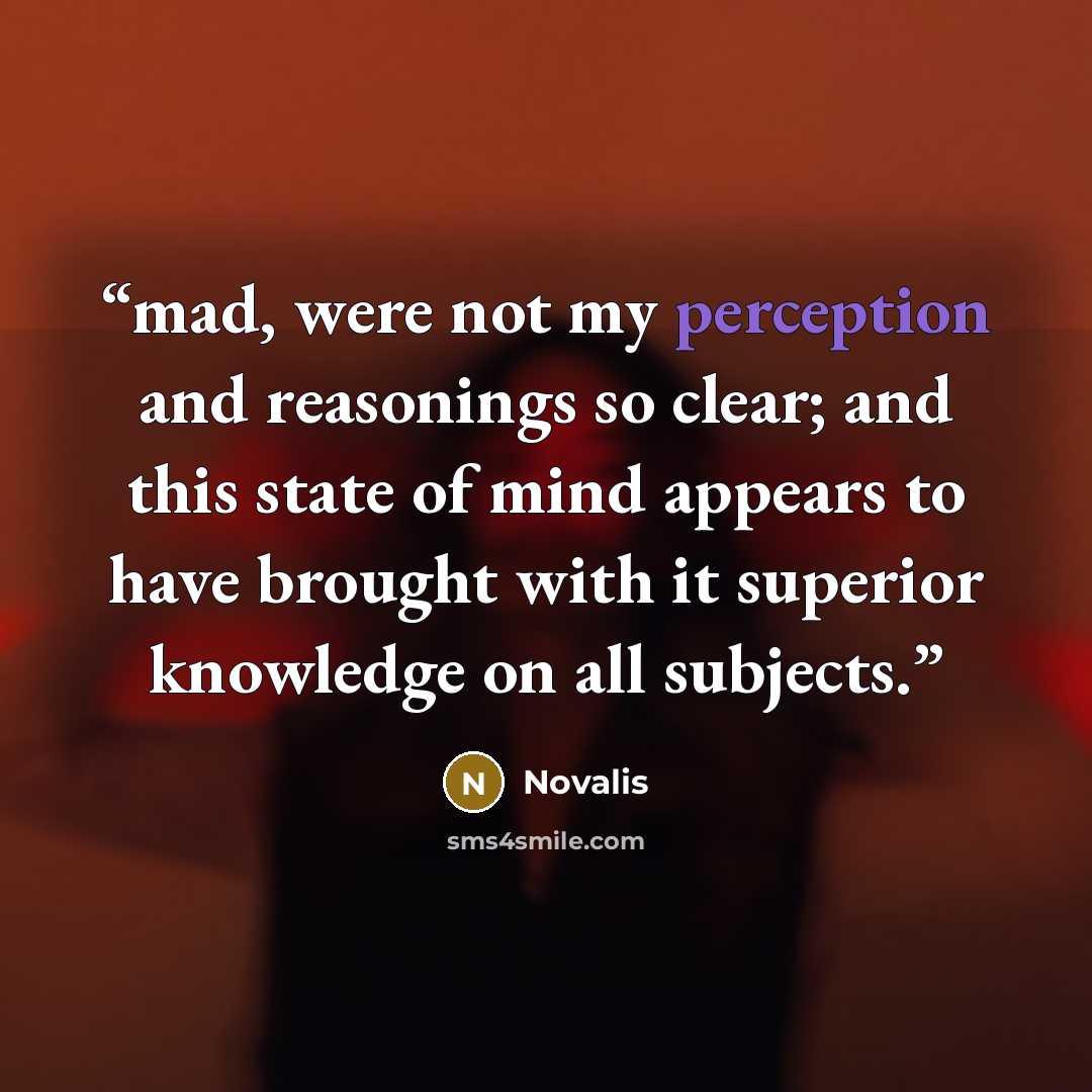 “mad, were not my perception and reasonings so clear; and this state of mind appears to have brought with it superior knowledge on all subjects.” quote by Novalis