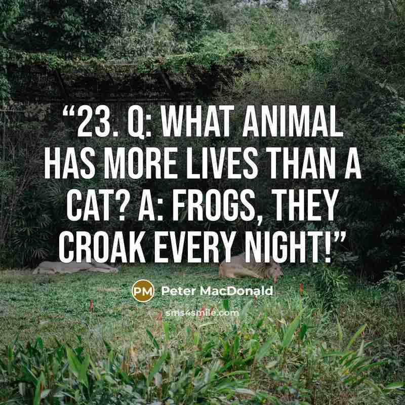 “23. Q: What animal has more lives than a cat? A: Frogs, they croak every night!” quote by Peter MacDonald