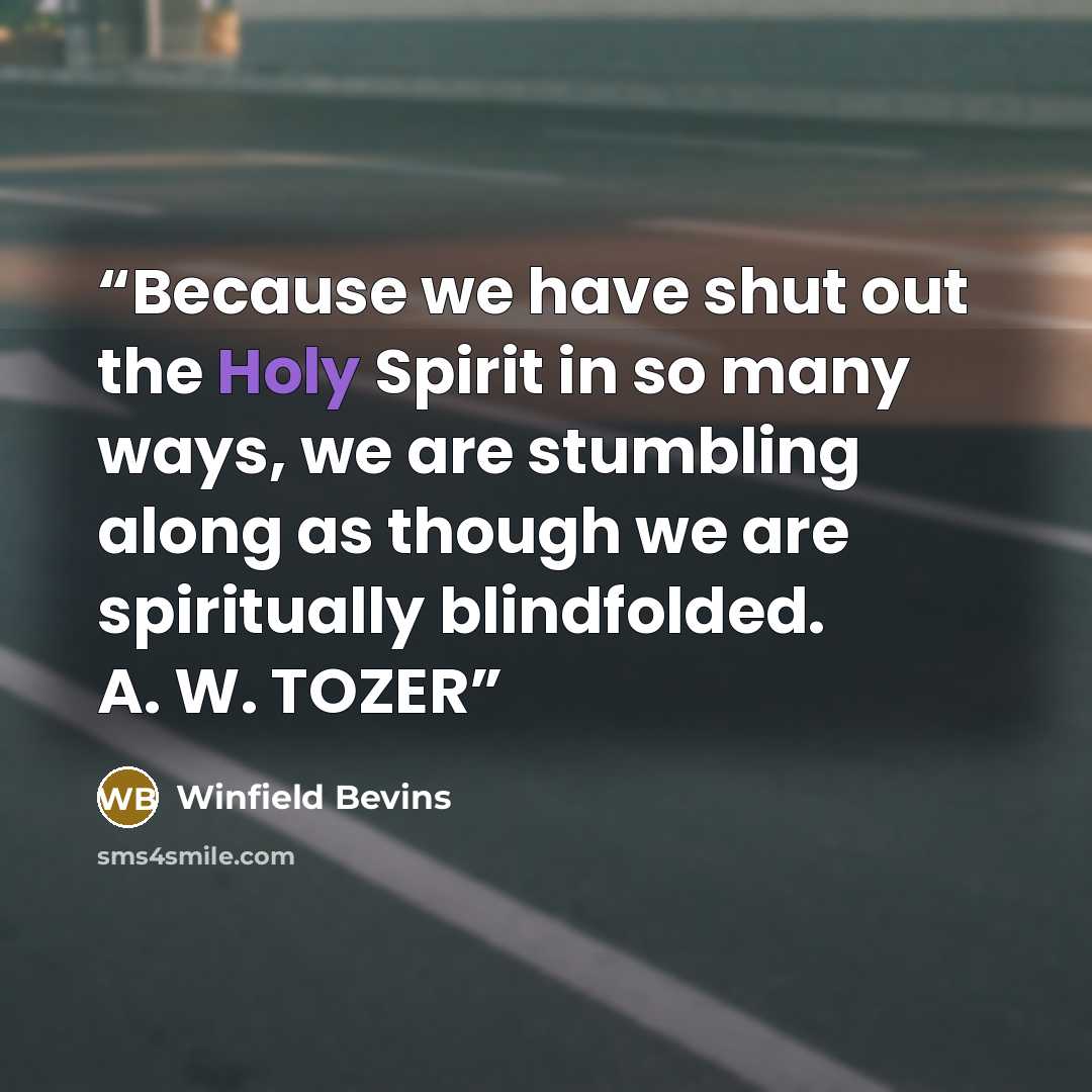 “Because we have shut out the Holy Spirit in so many ways, we are stumbling along as though we are spiritually blindfolded. A. W. TOZER” quote by Winfield Bevins