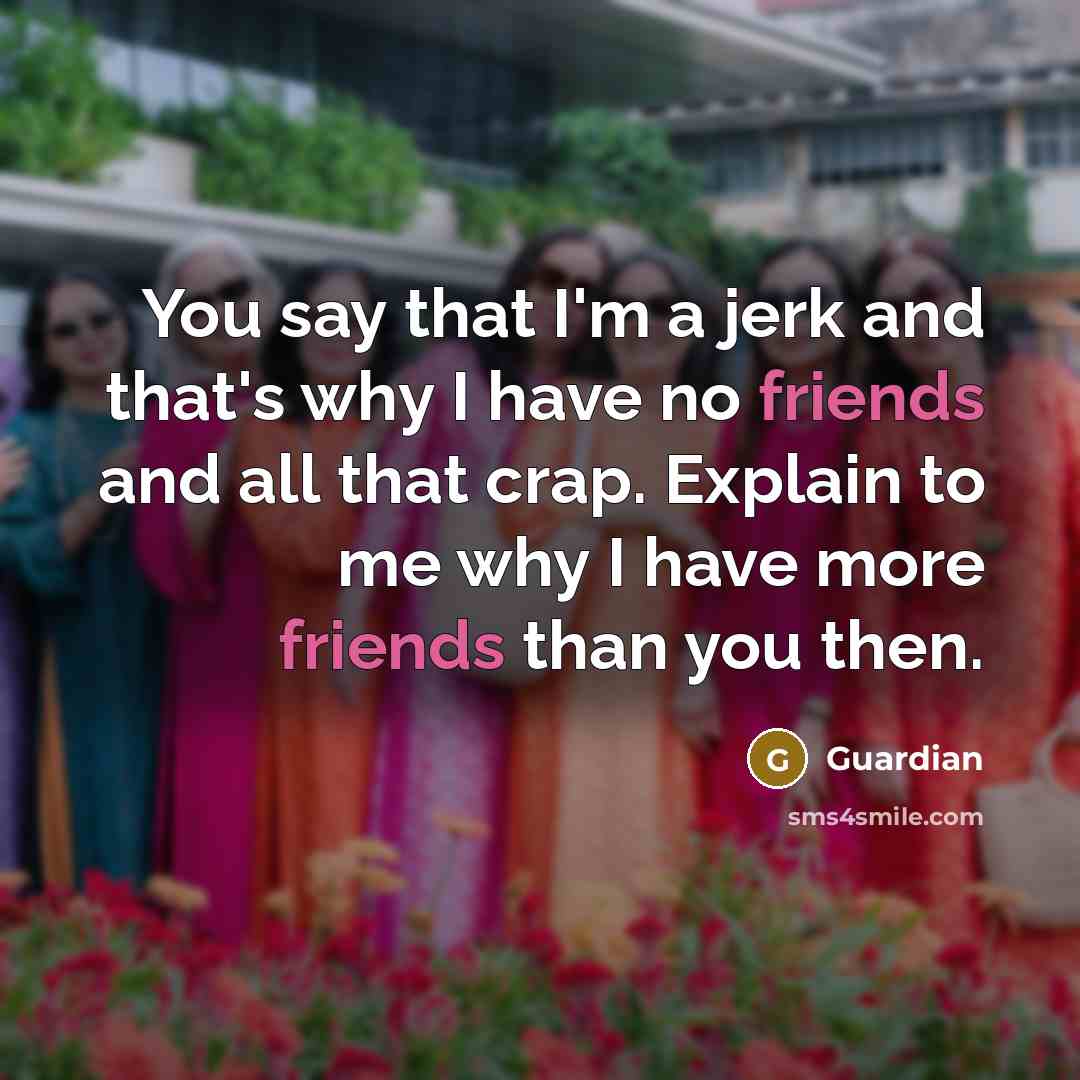 “You say that I'm a jerk and that's why I have no friends and all that crap. Explain to me why I have more friends than you then.” quote by Guardian
