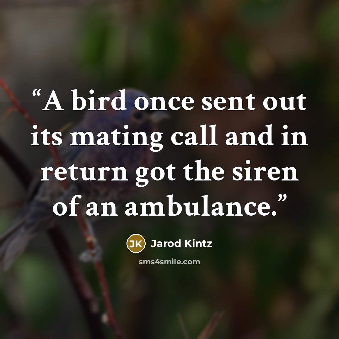 “A bird once sent out its mating call and in return got the siren of an ambulance.” quote by Jarod Kintz