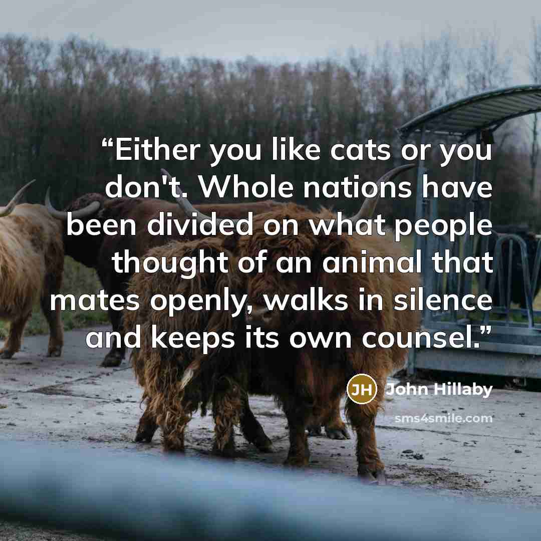 “Either you like cats or you don't. Whole nations have been divided on what people thought of an animal that mates openly, walks in silence and keeps its own counsel.” quote by John Hillaby