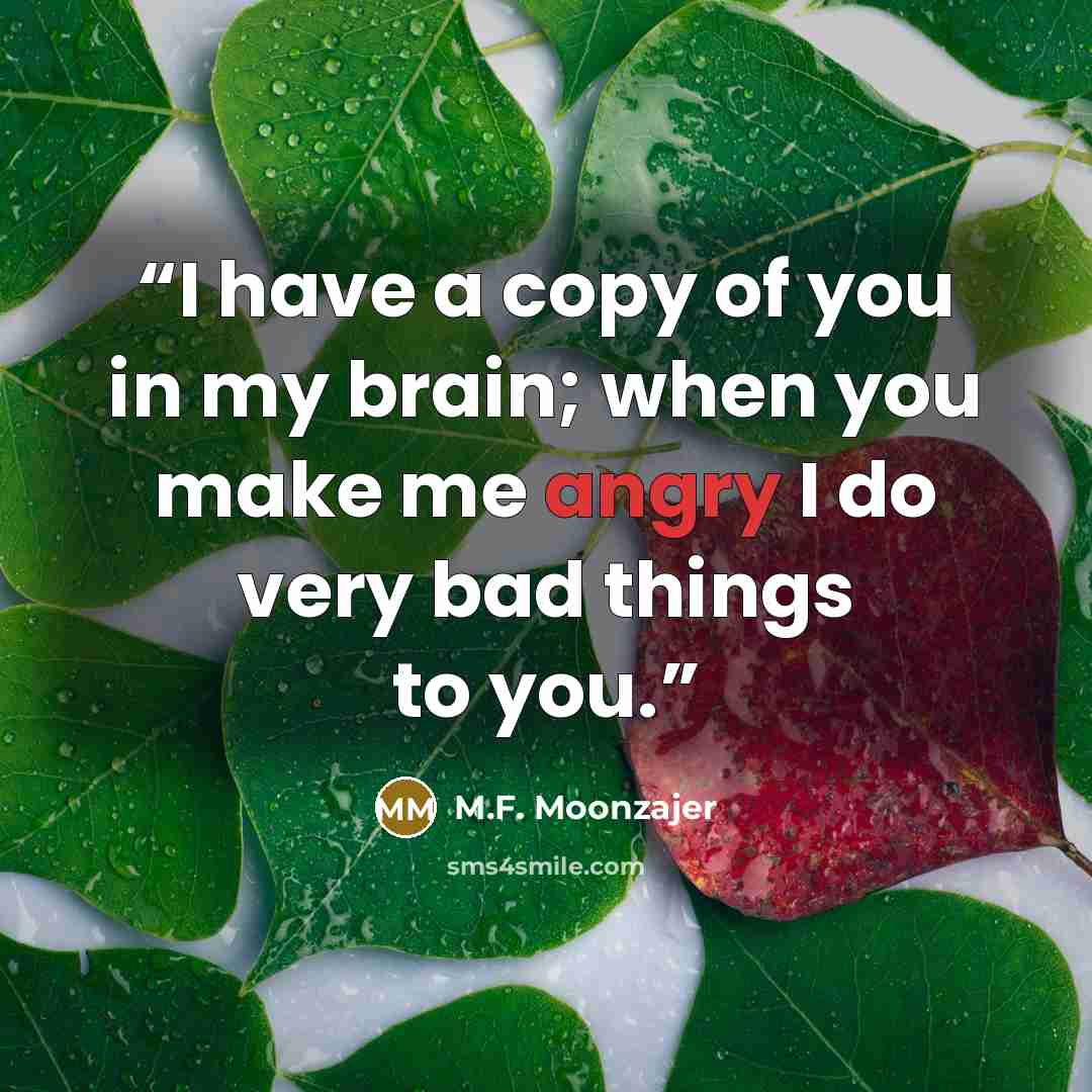 “I have a copy of you in my brain; when you make me angry I do very bad things to you.” quote by M.F. Moonzajer
