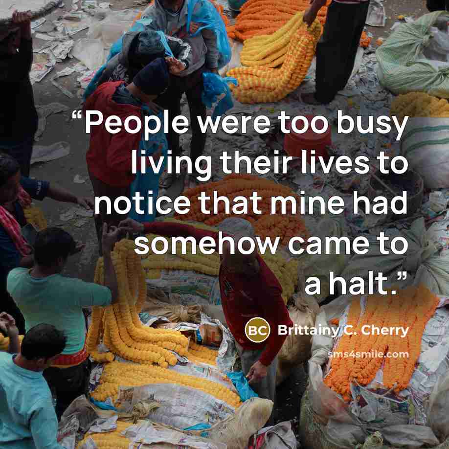 “People were too busy living their lives to notice that mine had somehow came to a halt.” quote by Brittainy C. Cherry