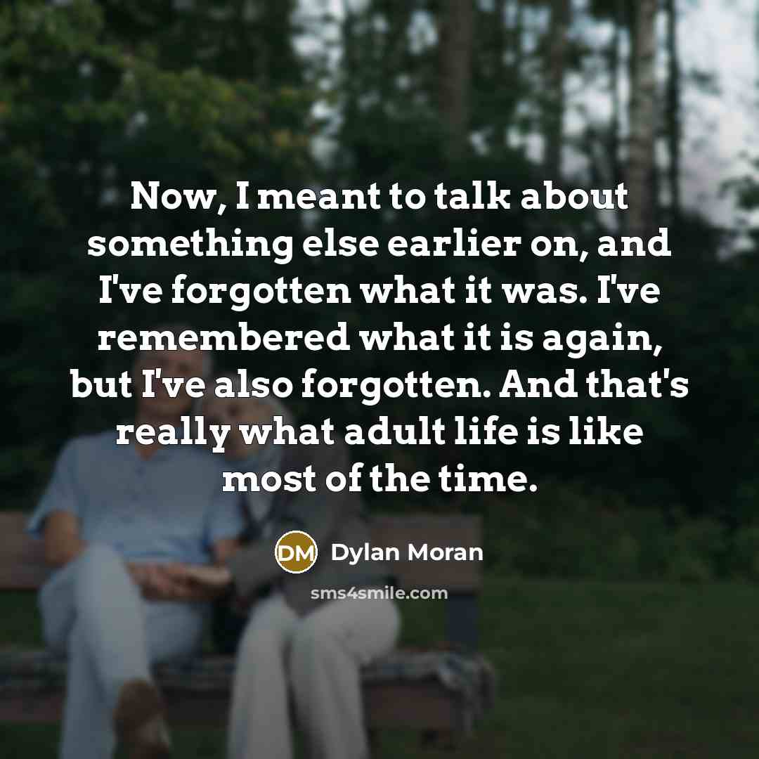 “Now, I meant to talk about something else earlier on, and I've forgotten what it was. I've remembered what it is again, but I've also forgotten. And that's really what adult life is like most of the time.” quote by Dylan Moran
