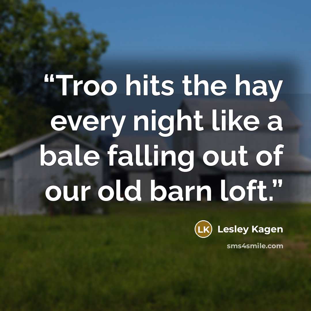 “Troo hits the hay every night like a bale falling out of our old barn loft.” quote by Lesley Kagen