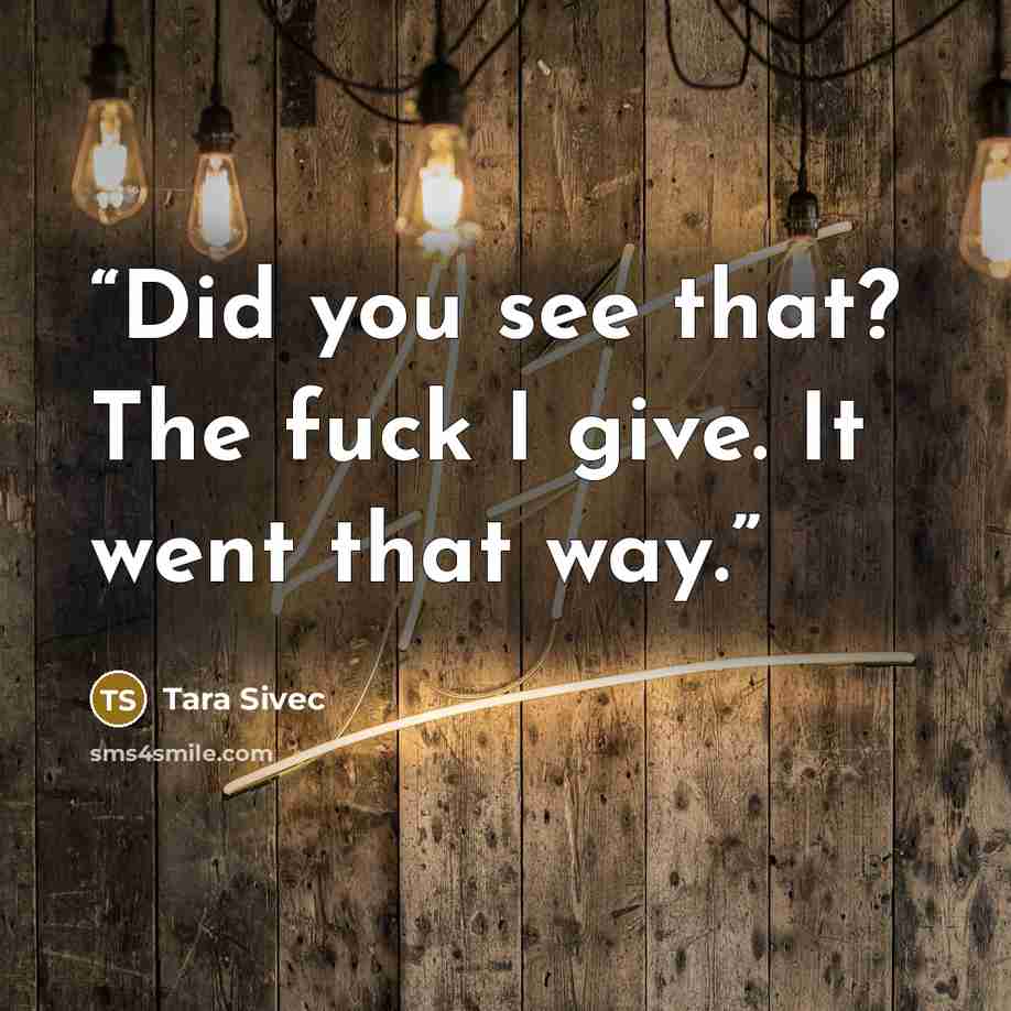 “Did you see that? The fuck I give. It went that way.” quote by Tara Sivec