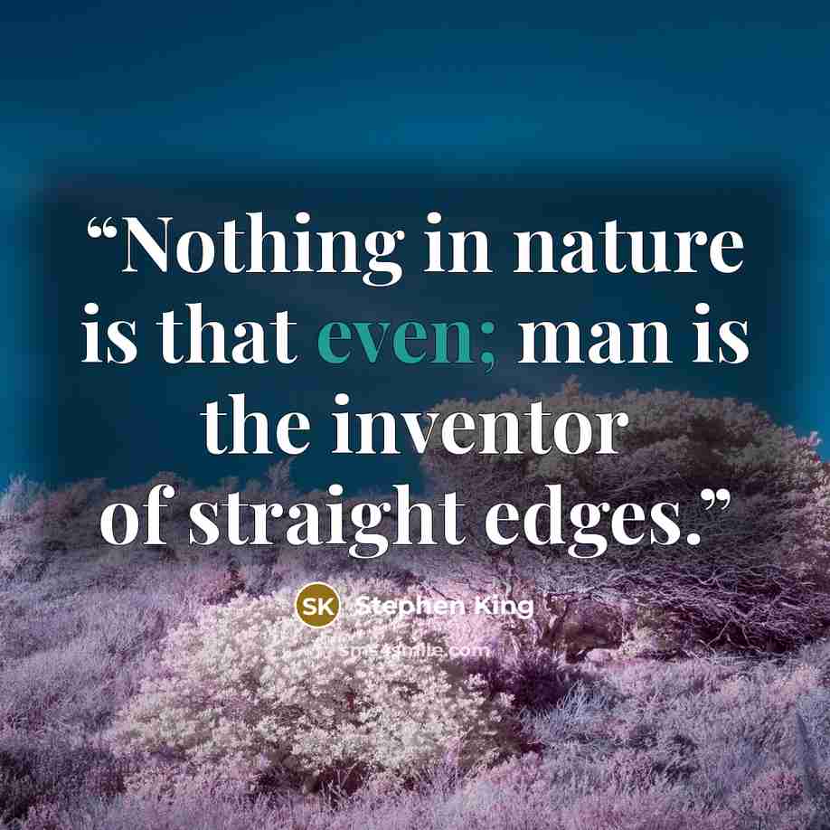 “Nothing in nature is that even; man is the inventor of straight edges.” quote by Stephen King
