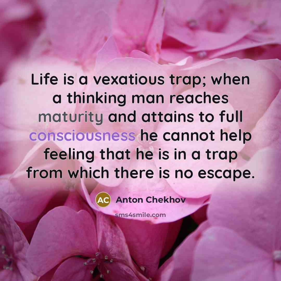 “Life is a vexatious trap; when a thinking man reaches maturity and attains to full consciousness he cannot help feeling that he is in a trap from which there is no escape.” quote by Anton Chekhov