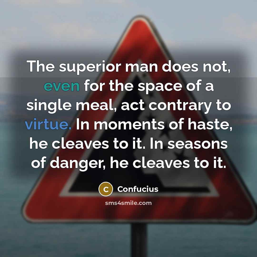 “The superior man does not, even for the space of a single meal, act contrary to virtue. In moments of haste, he cleaves to it. In seasons of danger, he cleaves to it.” quote by Confucius