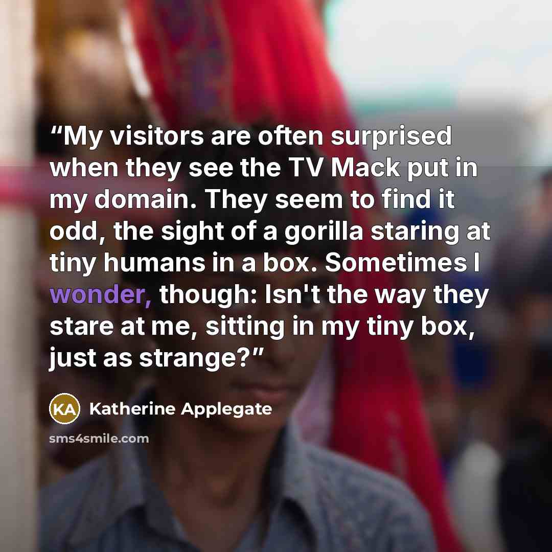 “My visitors are often surprised when they see the TV Mack put in my domain. They seem to find it odd, the sight of a gorilla staring at tiny humans in a box. Sometimes I wonder, though: Isn't the way they stare at me, sitting in my tiny box, just as strange?” quote by Katherine Applegate