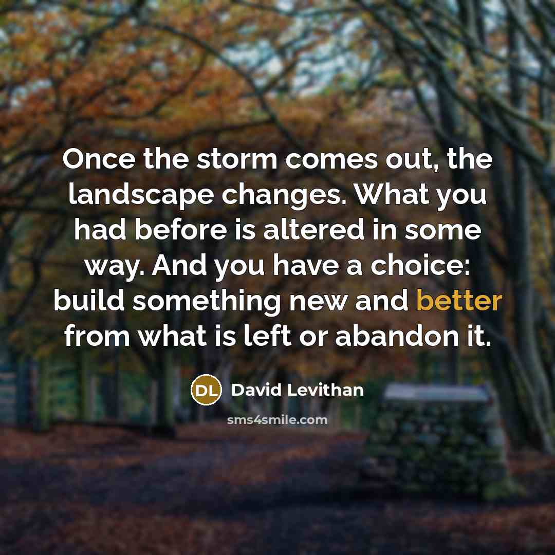“Once the storm comes out, the landscape changes. What you had before is altered in some way. And you have a choice: build something new and better from what is left or abandon it.” quote by David Levithan