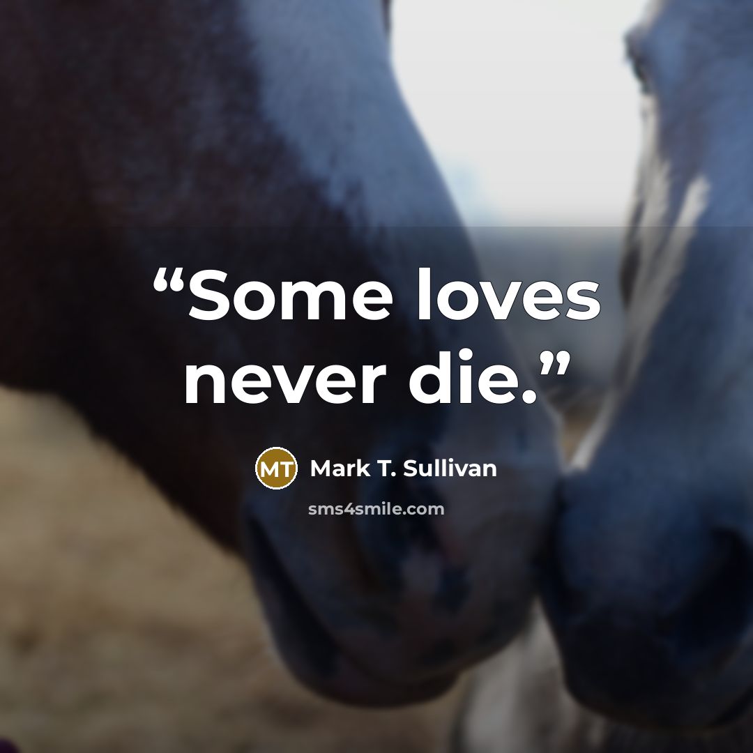 “Some loves never die.” quote by Mark T. Sullivan