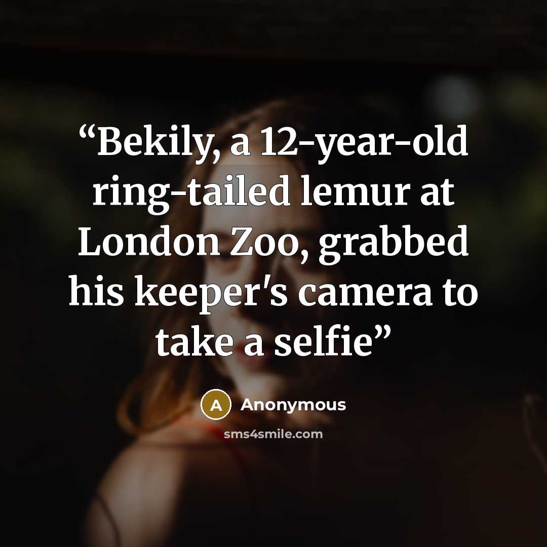 “Bekily, a 12-year-old ring-tailed lemur at London Zoo, grabbed his keeper's camera to take a selfie” quote by Anonymous