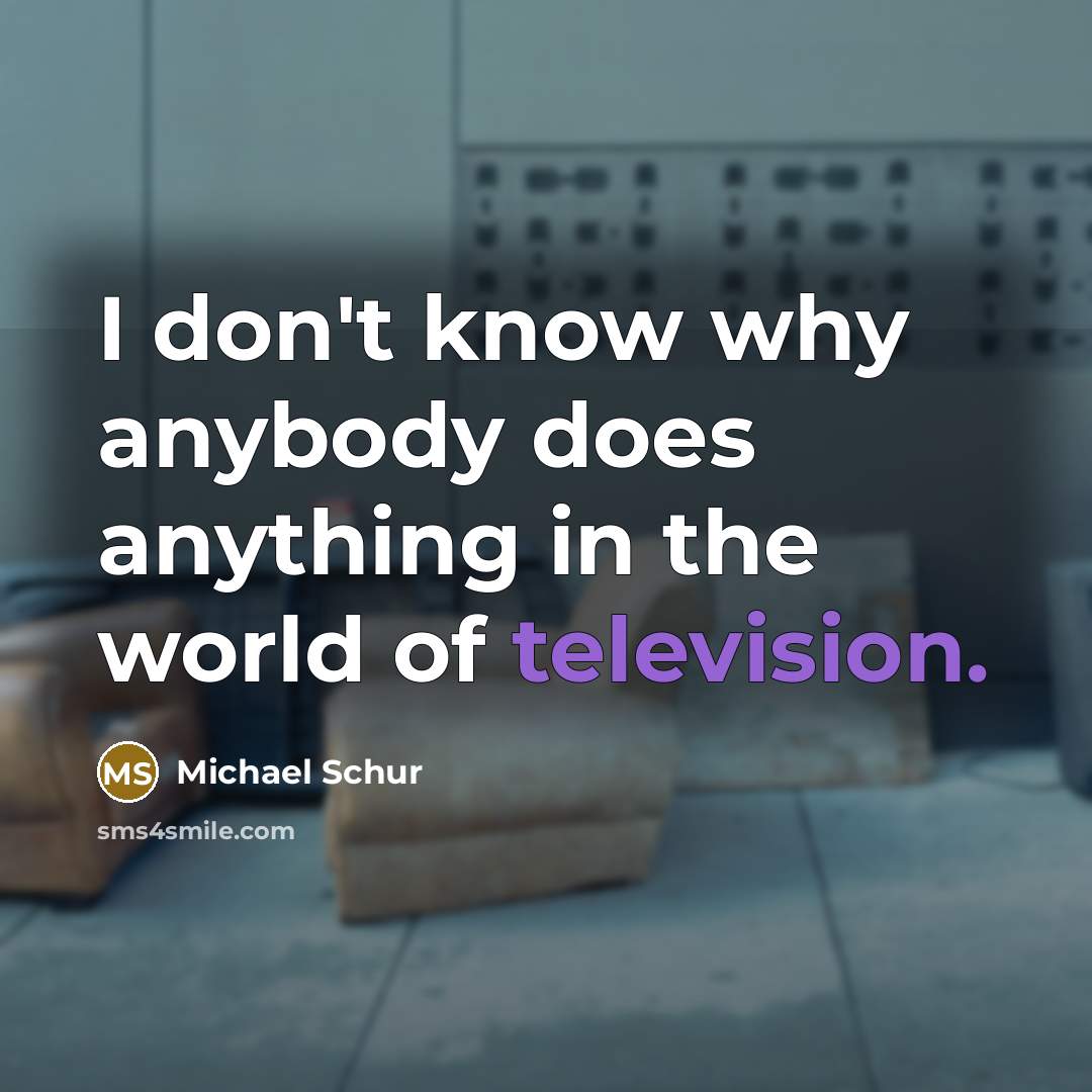“I don't know why anybody does anything in the world of television.” quote by Michael Schur