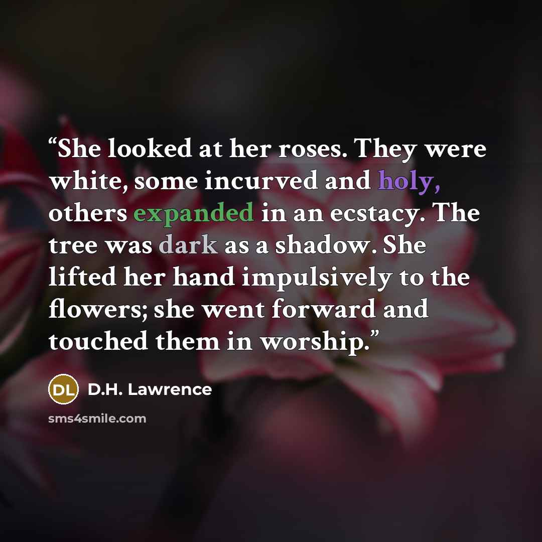 “She looked at her roses. They were white, some incurved and holy, others expanded in an ecstacy. The tree was dark as a shadow. She lifted her hand impulsively to the flowers; she went forward and touched them in worship.” quote by D.H. Lawrence