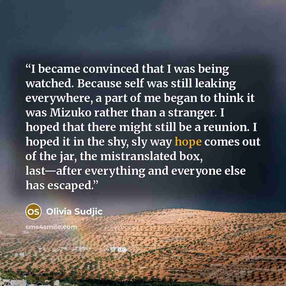 “I became convinced that I was being watched. Because self was still leaking everywhere, a part of me began to think it was Mizuko rather than a stranger. I hoped that there might still be a reunion. I hoped it in the shy, sly way hope comes out of the jar, the mistranslated box, last—after…” quote by Olivia Sudjic