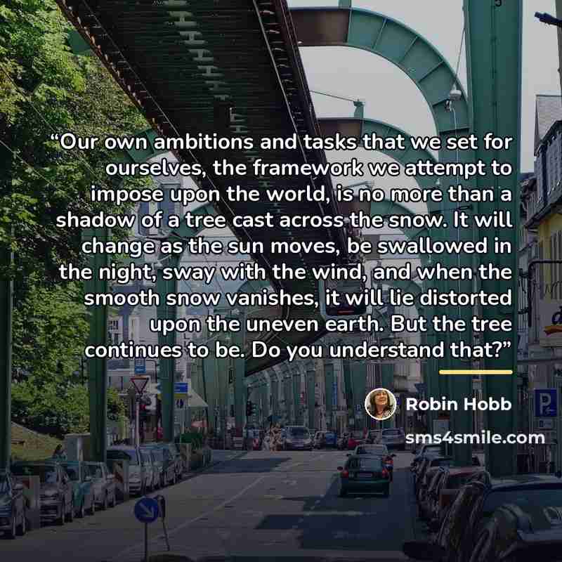 “Our own ambitions and tasks that we set for ourselves, the framework we attempt to impose upon the world, is no more than a shadow of a tree cast across the snow. It will change as the sun moves, be swallowed in the night, sway with the wind, and when the smooth snow vanishes, it will lie…” quote by Robin Hobb