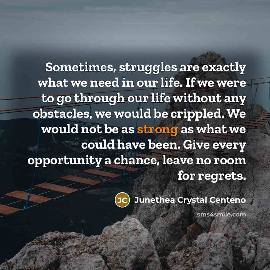 “Sometimes, struggles are exactly what we need in our life. If we were to go through our life without any obstacles, we would be crippled. We would not be as strong as what we could have been. Give every opportunity a chance, leave no room for regrets.” quote by Junethea Crystal Centeno