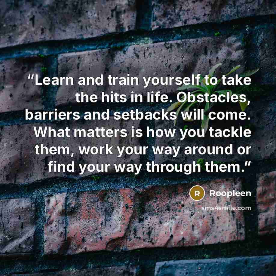 “Learn and train yourself to take the hits in life. Obstacles, barriers and setbacks will come. What matters is how you tackle them, work your way around or find your way through them.” quote by Roopleen