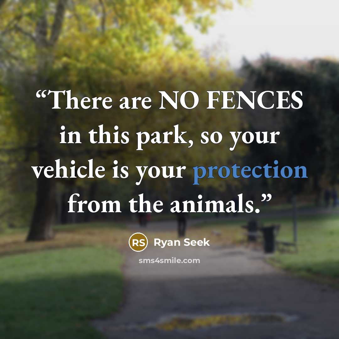 “There are NO FENCES in this park, so your vehicle is your protection from the animals.” quote by Ryan Seek