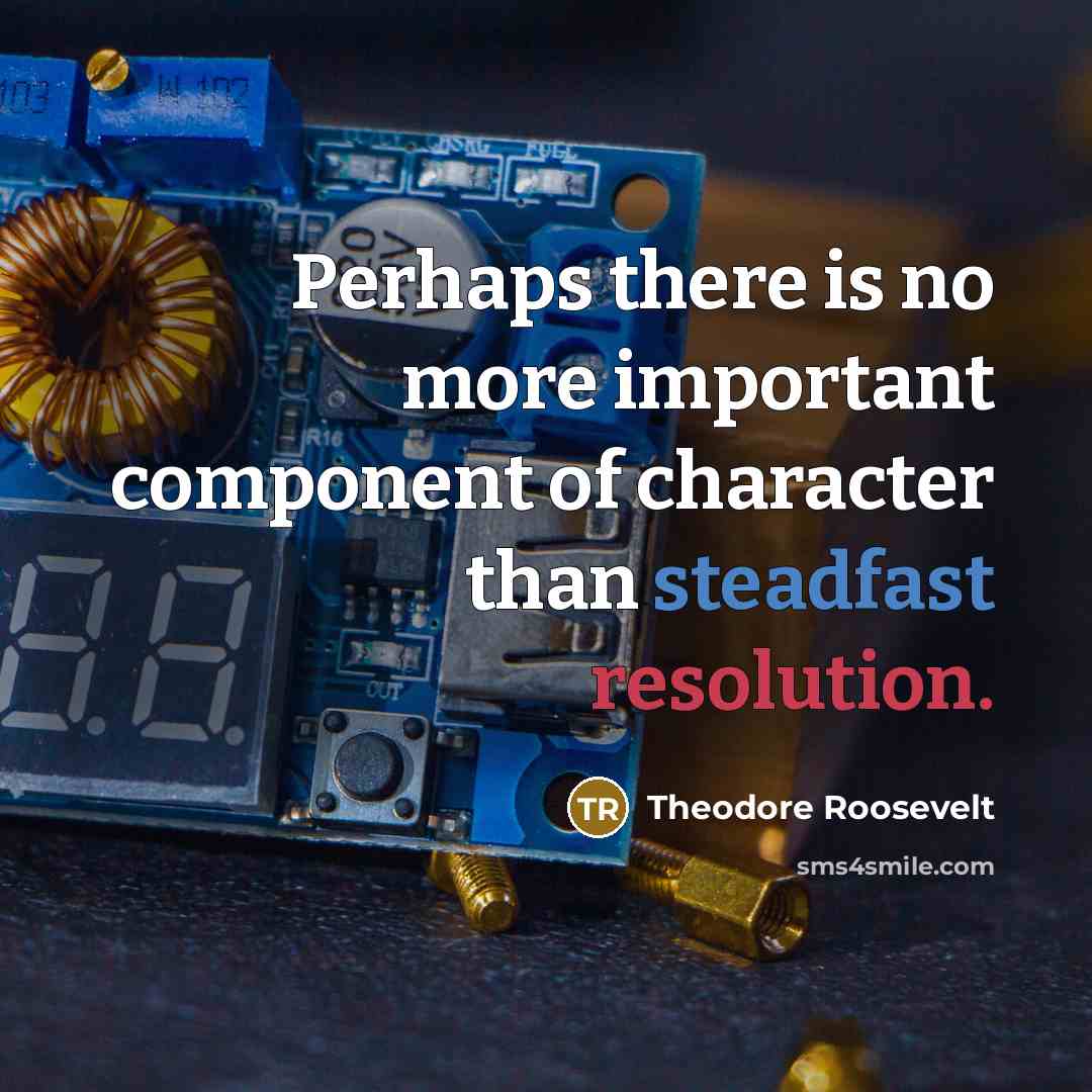 “Perhaps there is no more important component of character than steadfast resolution.” quote by Theodore Roosevelt