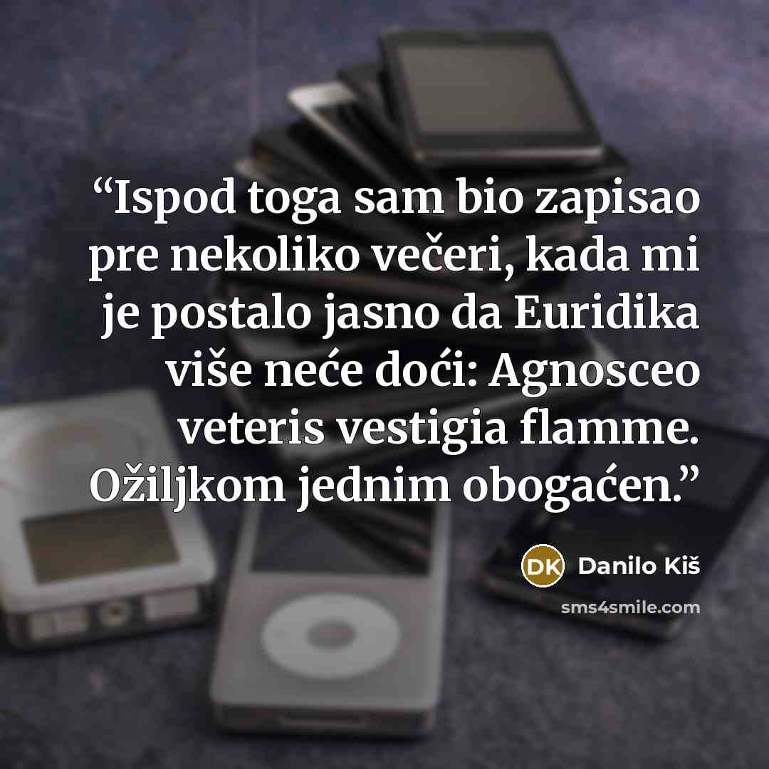 “Ispod toga sam bio zapisao pre nekoliko večeri, kada mi je postalo jasno da Euridika više neće doći: Agnosceo veteris vestigia flamme. Ožiljkom jednim obogaćen.” quote by Danilo Kiš