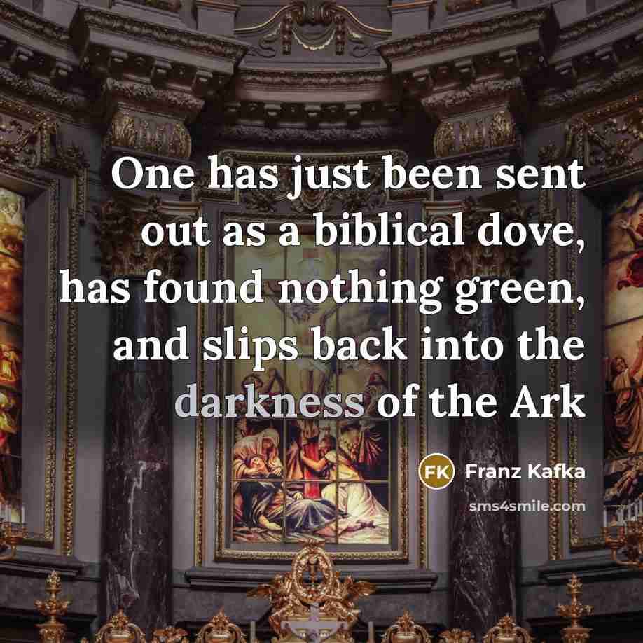 “One has just been sent out as a biblical dove, has found nothing green, and slips back into the darkness of the Ark” quote by Franz Kafka